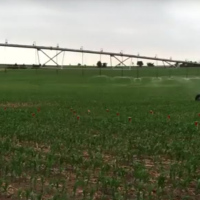Valley VRI in action - courtesy of Valley Irrigation (Leaders in Precision Irrigation)