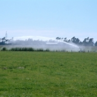 Travelling irrigators boost dairy pasture growth in Blenheim