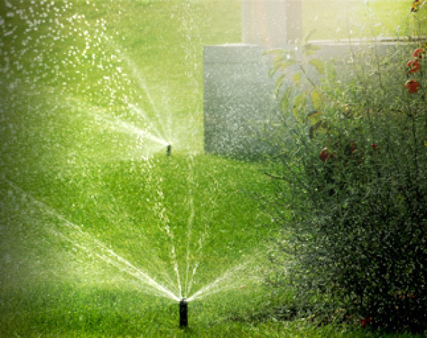 Home Irrigation Planning Guide