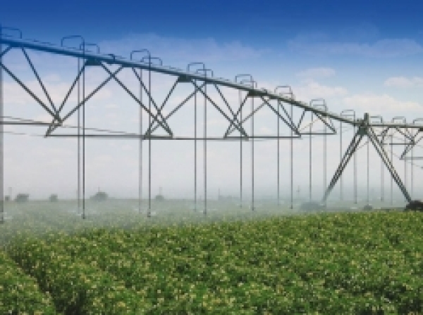 Pukekohe cropping company installs new centre pivot irrigation and fertigation system